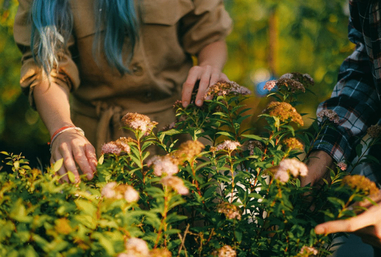 Apa Itu Hortikultura?
